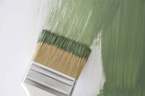  Belle Isle, FL Mold Removal Pros