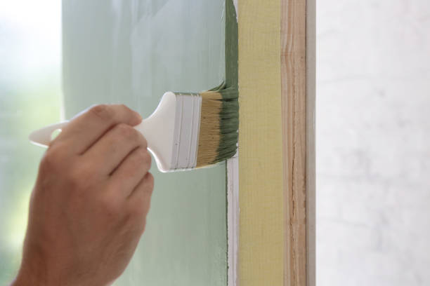 Best Mold Removal for HVAC Installations  in Belle Isle, FL