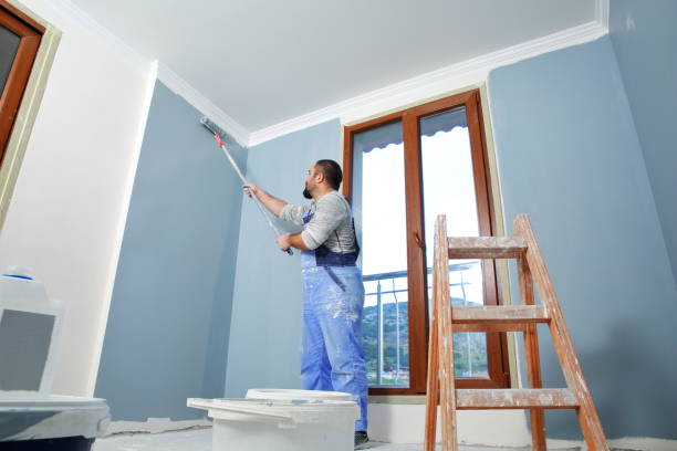Best Mold Odor Removal Services  in Belle Isle, FL