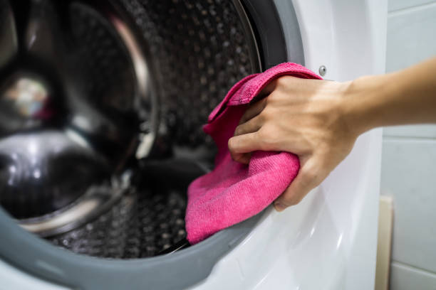 Best Mold Prevention Services  in Belle Isle, FL