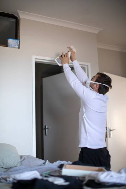 Best Residential Mold Inspection & Testing  in Belle Isle, FL