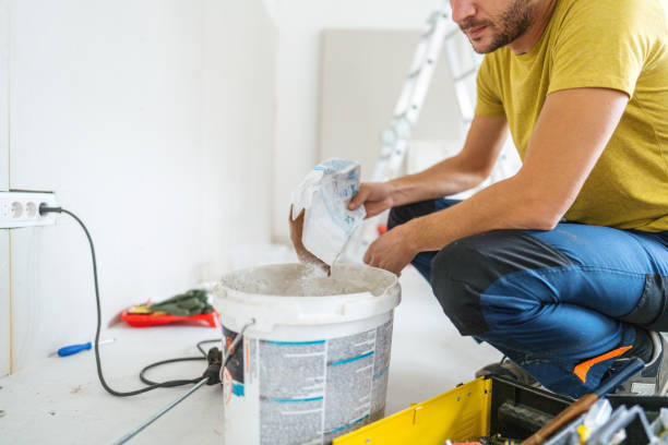 Best Basement Mold Removal  in Belle Isle, FL