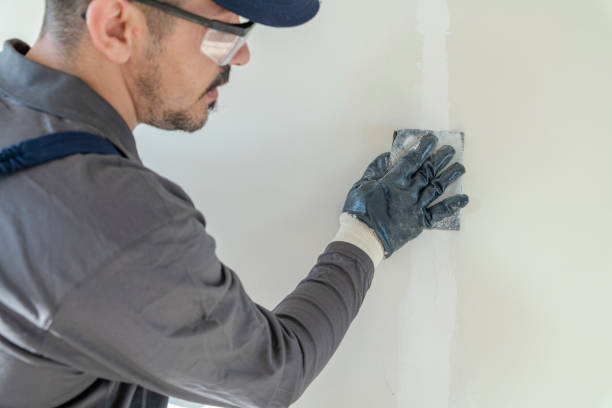 Asbestos and Lead Testing During Mold Inspection in Belle Isle, FL