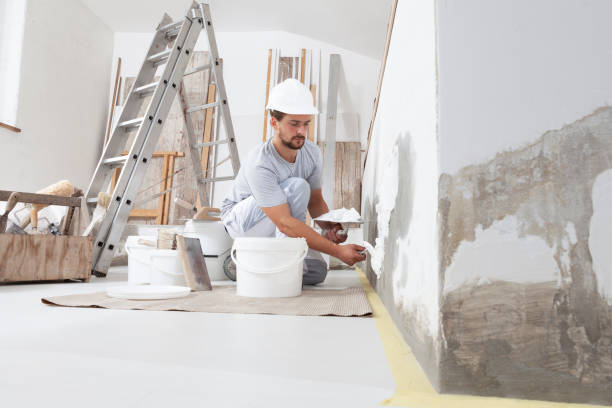Best Real Estate Mold Inspection  in Belle Isle, FL