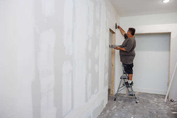 Best Environmental Consulting for Mold Prevention  in Belle Isle, FL