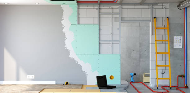 Best Basement Mold Removal  in Belle Isle, FL