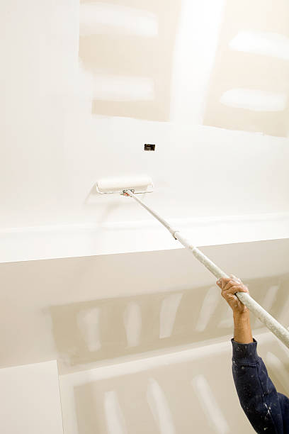 Best Attic Mold Removal  in Belle Isle, FL