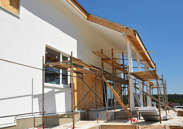 Reliable Belle Isle, FL Mold Removal Solutions