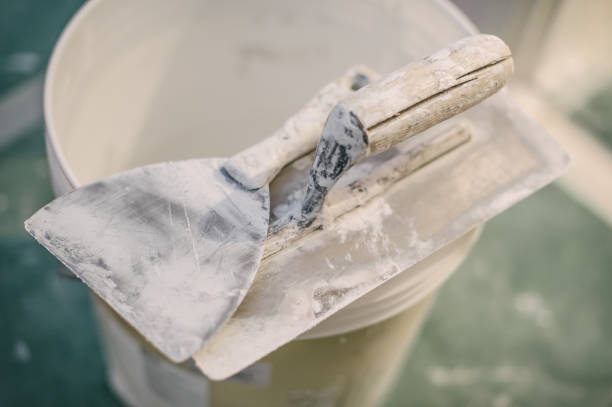 Best Post-Construction Mold Inspection  in Belle Isle, FL